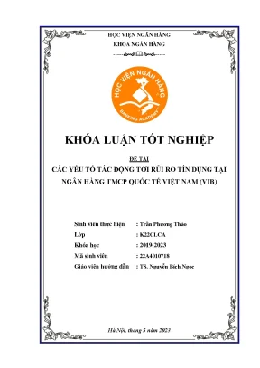 Các yếu tố tác động tới rủi ro tín dụng tại ngân hàng thương mại cổ phần quốc tế việt nam vib
