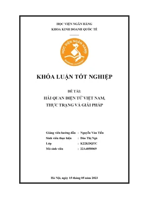 Hải quan điện tử việt nam thực trạng và giải pháp