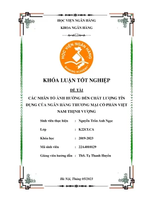 Các nhân tố ảnh hưởng đến chất lượng tín dụng của ngân hàng thương mại cổ phần việt nam thịnh vượng
