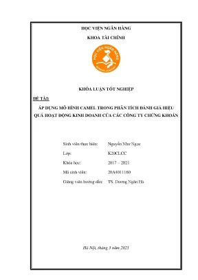Áp dụng mô hình camel trong phân tích đánh giá hiệu quả hoạt động kinh doanh của các công ty chứng khoán