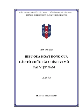 Hiệu quả hoạt động của các tổ chức tài chính vi mô tại việt nam