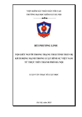 Tội giết người trong trạng thái tinh thần bị kích động mạnh trong luật hình sự việt nam từ thực tiễn thành phố hà nội