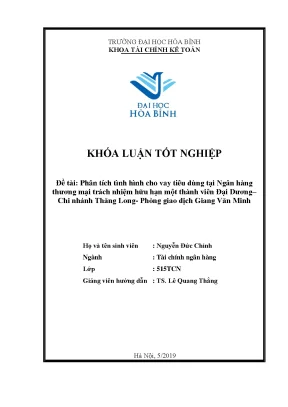 Phân tích tình hình cho vay tiêu dùng tại ngân hàng thương mại trách nhiệm hữu hạn một thành viên đại dương chi nhánh thăng long phòng giao dịch giang văn minh