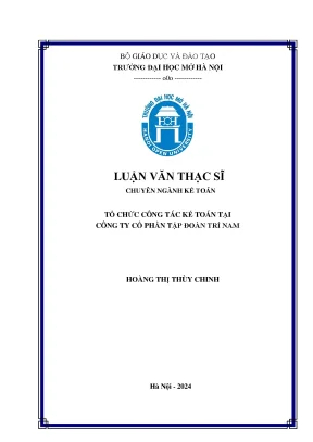 Tổ chức công tác kế toán tại công ty cổ phần tập đoàn trí nam