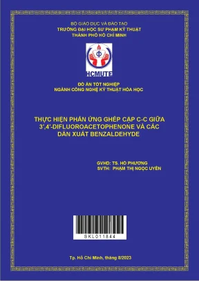 Thực hiện phản ứng ghép cặp c c giữa 3′ 4′ difluoroacetophenone và các dẫn xuất benzaldehyde