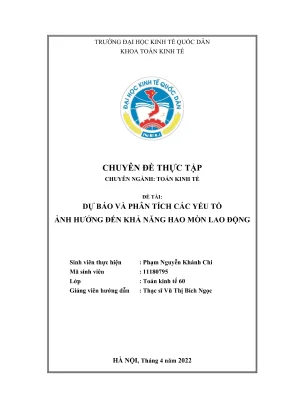 Chuyên đề thực tập dự báo và phân tích các yếu tố ảnh hưởng đến khả năng hao mòn lao động