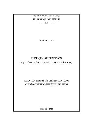 Hiệu quả sử dụng vốn tại tổng công ty bảo việt nhân thọ