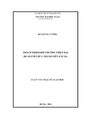 Trách nhiệm bồi thường thiệt hại do người chưa thành niên gây ra