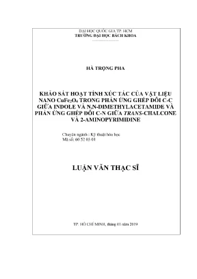 Luận văn thạc sĩ kỹ thuật hóa học khảo sát hoạt tính xúc tác của vật liệu nano cufe2o4 trong phản ứng ghép đôi c c giữa indole và n n dimethylacetamide và phản ứng ghép đôi c n giữa trans chalcone và 2 aminopyrimidine