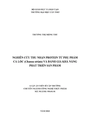 Nghiên cứu thu nhận protein từ phụ phẩm cá lóc channa striata và đánh giá khả năng phát triển sản phẩm