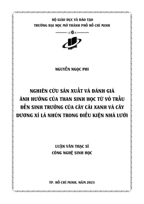 Nghiên cứu sản xuất và đánh giá ảnh hưởng của than sinh học từ vỏ trấu đến sinh trưởng của cây cải xanh và cây dương xỉ lá nhún trong điều kiện nhà lưới