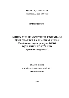 Nghiên cứu sự kích thích tính kháng bệnh cháy bìa lá lúa do vi khuẩn xanthomonas oryzae pv oryzae bằng dịch trích cỏ cứt heo ageratum conyzoides l