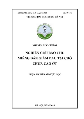 Nguyễn đức cường nghiên cứu bào chế miếng dán giảm đau tại chỗ chứa cao ớt