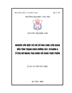 Nghiên cứu một số chỉ số hóa sinh liên quan đến tình trạng dinh dưỡng sắt vit a ở phụ nữ mang thai được bổ sung thực phẩm