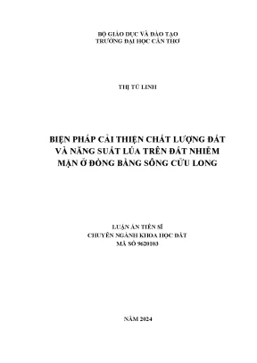 Biện pháp cải thiện chất lượng đất và năng suất lúa trên đất nhiễm mặn ở đồng bằng sông cửu long