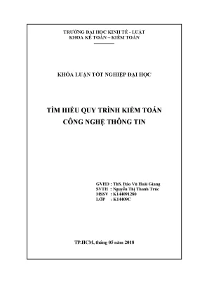 Tìm hiểu quy trình kiểm toán r ncông nghệ thông tin