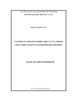 Vai trò của doanh nghiệp nhỏ và vừa trong phát triển kinh tế thành phố hồ chí minh