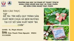Đề tài tìm hiểu quy trình sản xuất nem chua và nem nướng tại cơ sở sản xuất nem bà chín