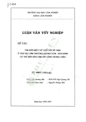 Lv08002383
