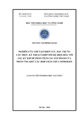 Nghiên cứu chế tạo điện cực đặc trưng cấu trúc kỹ thuật ghép nối hệ điện hóa với sắc ký khí để phân tích các sản phẩm của phản ứng khử các hợp chất chứa nitrogen