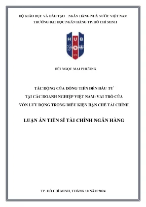 Tác động của dòng tiền đến đầu tư tại các doanh nghiệp việt nam vai trò của vốn lưu động trong điều kiện hạn chế tài chính