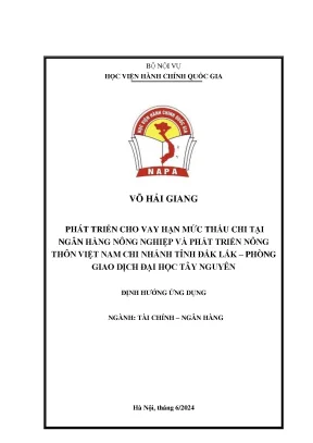 Phát triển cho vay hạn mức thấu chi tại ngân hàng nông nghiệp và phát triển nông thôn việt nam chi nhánh tỉnh đắk lắk phòng giao dịch đại học tây nguyên