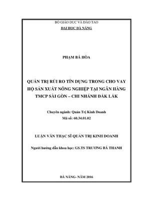 Luận văn thạc sĩ quản trị rủi ro tín dụng trong cho vay hộ sản xuất nông nghiệp tại ngân hàng tmcp sài gòn chị nhánh đăk lăk