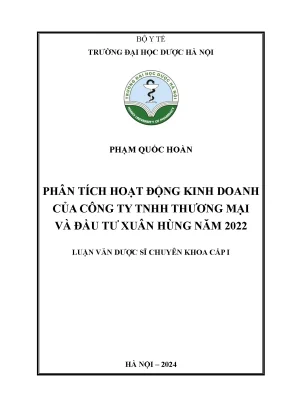 Phạm quốc hoàn phân tích hoạt động kinh doanh của công ty tnhh thương mại và đầu tư xuân hùng năm 2022