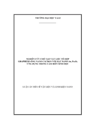 Nghiên cứu chế tạo vật liệu tổ hợp graphene ống nano cácbon với hạt nano au fe3o4 ứng dụng trong cảm biến sinh học