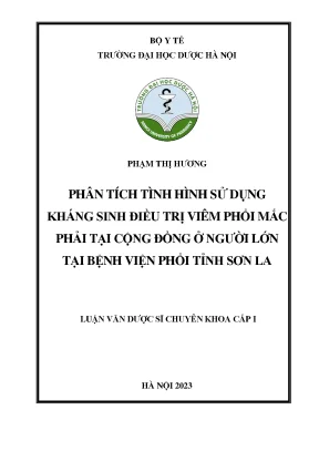 Phạm thị hương phân tích tình hình sử dụng kháng sinh điều trị viêm phổi mắc phải tại cộng đồng ở người lớn tại bệnh viện phổi tỉnh sơn la