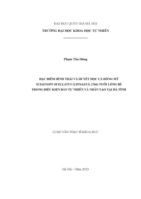 Đặc điểm hình thái và huyết học cá hồng mỹ sciaenops ocellatus linnaeus 1766 nuôi lồng bè trong điều kiện bán tự nhiên và nhân tạo tại hà tĩnh
