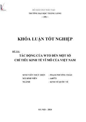 Tác động của wto đến một số chỉ tiêu kinh tế vĩ mô của việt nam