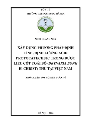 Ninh quang nhã xây dựng phương pháp định tính định lượng acid protocatechuic trong dược liệu cốt toái bổ drynaria bonii h christ thu tại việt nam