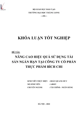 Nâng cao hiệu quả sử dụng tài sản ngắn hạn tại công ty cổ phần thực phẩm bích chi
