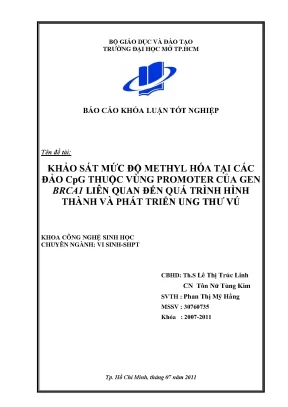 Khảo sát mức độ methyl hóa tại các đảo cpg thuộc vùng promoter của gen brca1 liên quan đến quá trình hình thành và phát triển ung thư vú