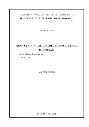 Luận văn thạc sĩ kỹ thuật hóa học production of value added chemicals from rice straw