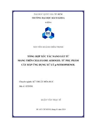 Luận văn thạc sĩ kỹ thuật hóa học tổng hợp xúc tác nano sắt từ mang trên cellulose aerogel từ phụ phẩm cây bắp ứng dụng xử lý p nitrophenol
