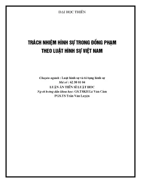 Trách nhiệm hình sự trong đồng phạm theo luật hình sự việt nam mới
