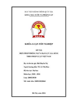 Biện pháp phòng ngừa bạo lực gia đình theo pháp luật việt nam