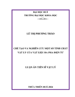 Chế tạo và nghiên cứu một số tính chất vật lý của vật liệu đa pha điện từ