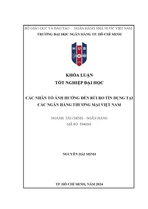 Các nhân tố ảnh hưởng đến rủi ro tín dụng tại các ngân hàng thương mại việt nam 2