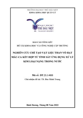 Nghiên cứu chế tạo vật liệu nano than vỏ hạt mắc ca kết hợp từ tính sắt ứng dụng xử lý kim loại nặng trong nước