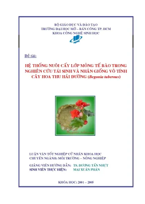 Hệ thống nuôi cấy lớp mỏng tế bào trong nghiên cứu tái sinh và nhân giống vô tính cây hoa thu hải đường begonia tuberous