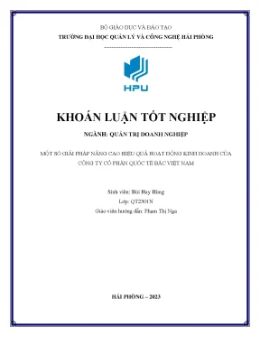 Một số giải pháp nâng cao hiệu quả hoạt động kinh doanh của công ty cổ phần quốc tế bắc việt nam