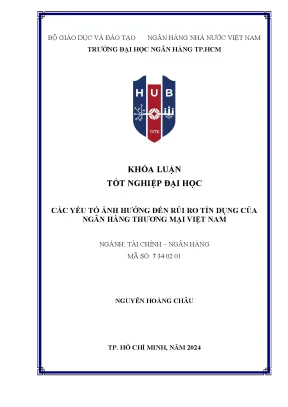 Các yếu tố ảnh hưởng đến rủi ro tín dụng của ngân hàng thương mại việt nam