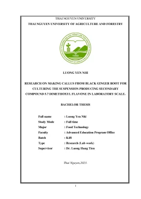 Research on making callus from black ginger root for culturing the suspension producing secondary compound 5 7 dimethoxyl flavone in laboratory scale