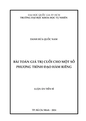 Bài toán giá trị cuối cho một số phương trình đạo hàm riêng