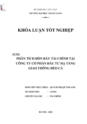 Phân tích đòn bẩy tài chính tại công ty cổ phần dầu tư hạ tầng giao thông đèo cả