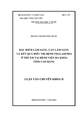 Đặc điểm lâm sàng cận lâm sàng và kết quả điều trị bệnh thalasemia ở trẻ em tại bệnh viện đa khoa tỉnh cao bằng