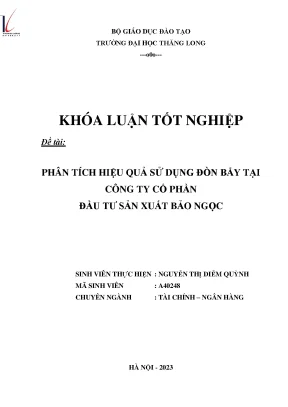 Phân tích hiệu quả sử dụng đòn bẩy tại công ty cổ phần đầu tư sản xuất bảo ngọc